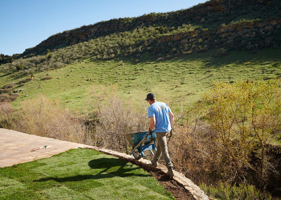 Down to Earth Landscaping Co. Growing with Denver since 2012