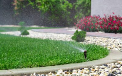 The Benefits of a Professionally Installed Irrigation System