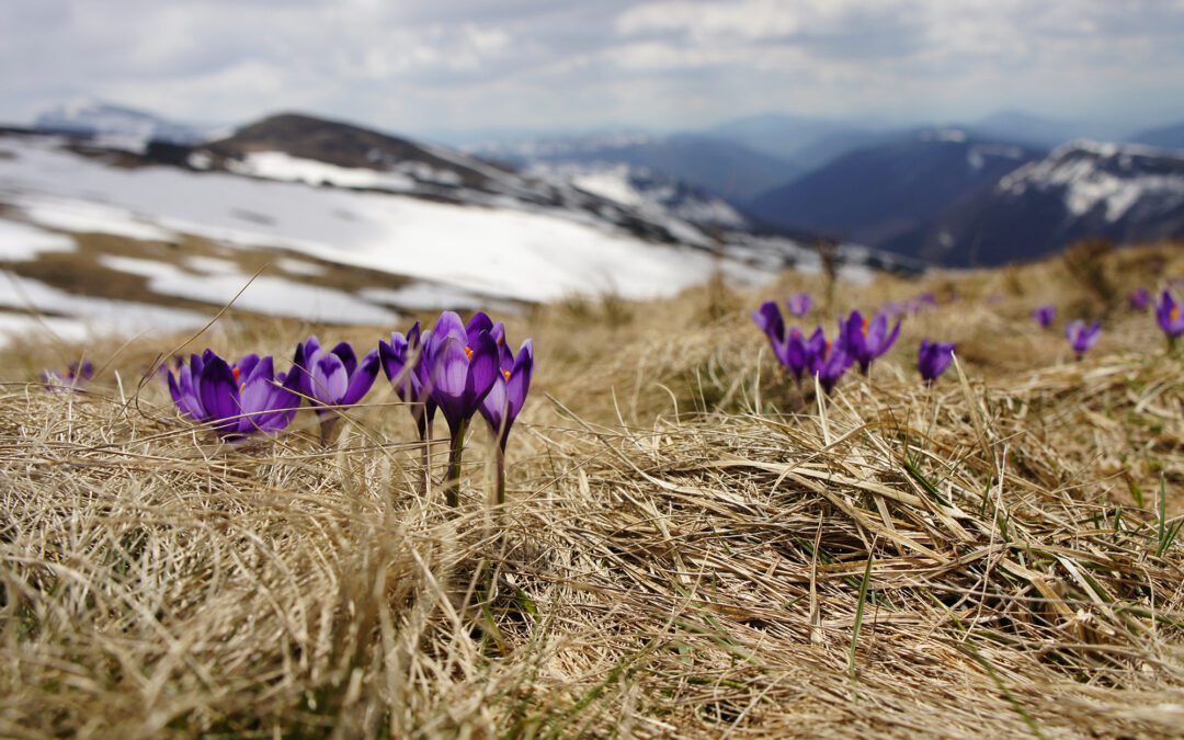 Spring is the best time to start planning your project