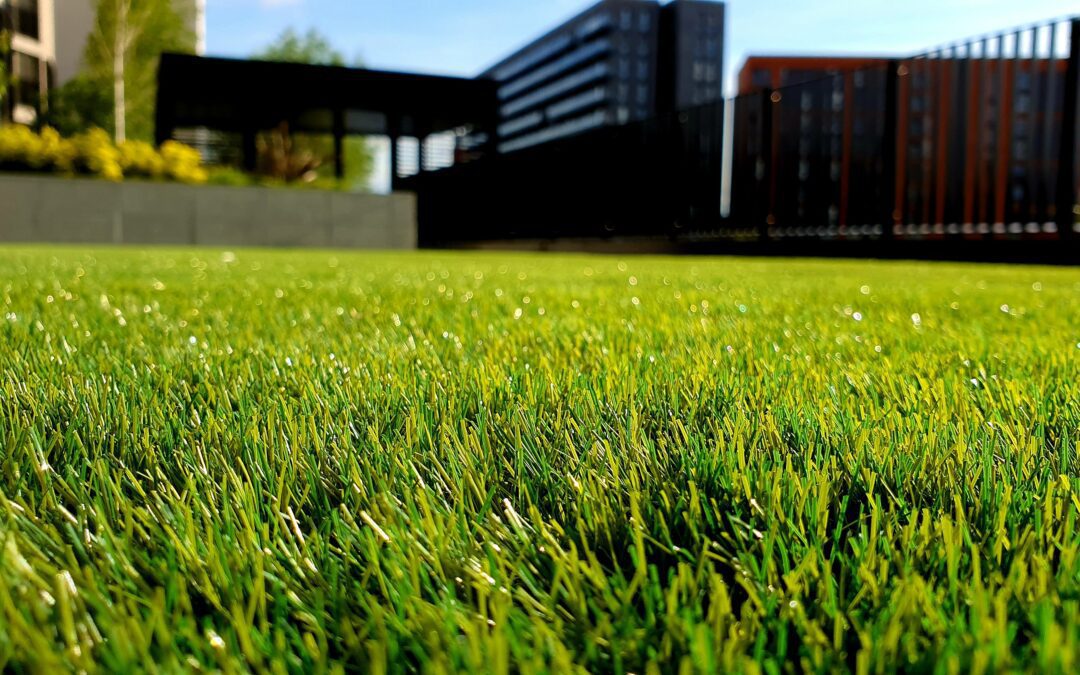 Taking Care of Your Lawn This Summer in Colorado